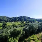 Daire Da Luca E Simona Camaiore