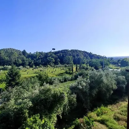 Διαμέρισμα Da Luca E Simona Camaiore